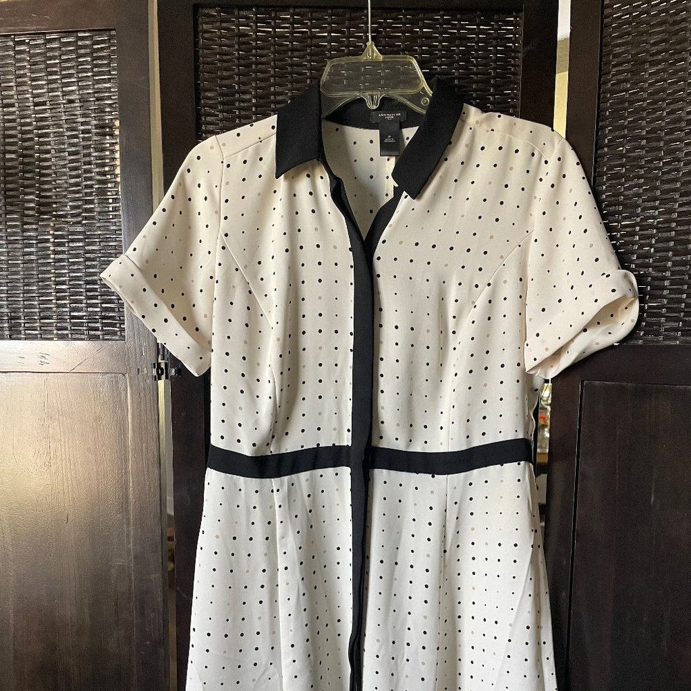 Ann Taylor Polka Dot Dress